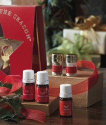Essence of the Season Kit